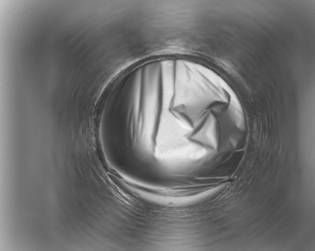 X0000057081356200510010149