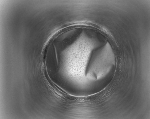 X0000057081360200510010149