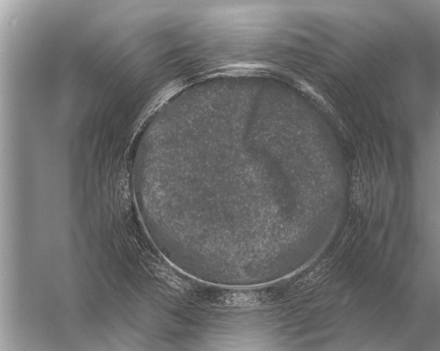 X0000057081362200510010148