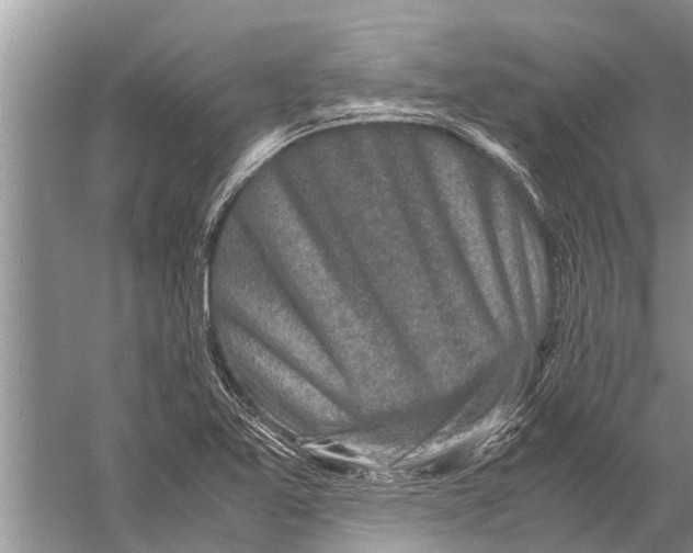 X0000057081365200510010148