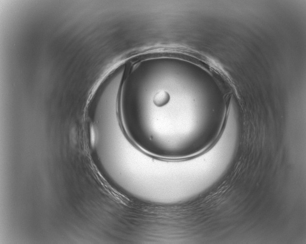 X0000057081368200510010148