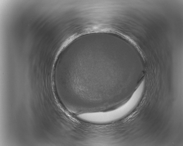 X0000057081373200510010148