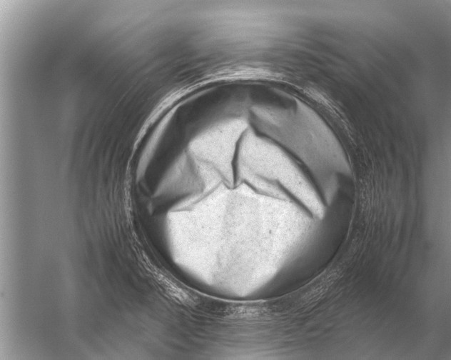 X0000057081374200510010148