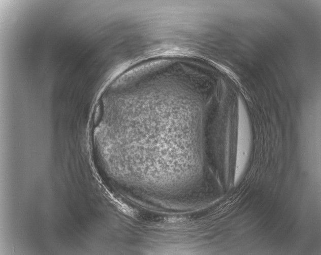 X0000057081375200510010148