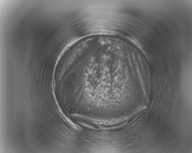 X0000057081379200510010148