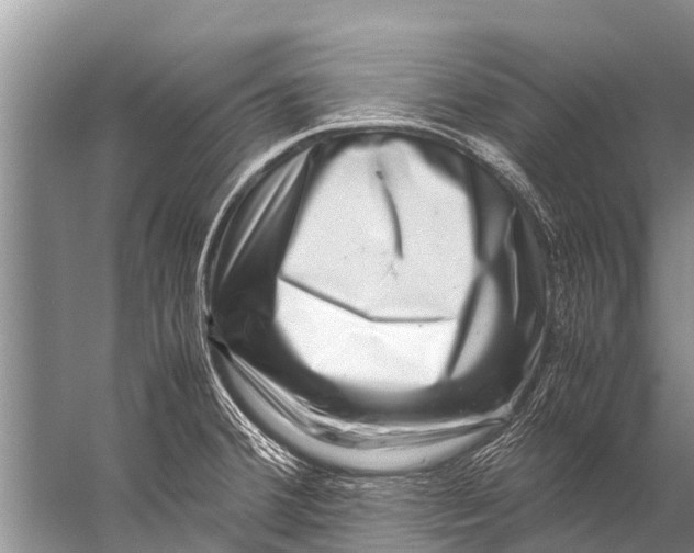 X0000057081380200510010148