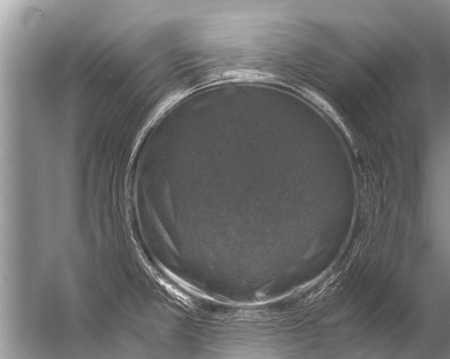 X0000057081381200510010148