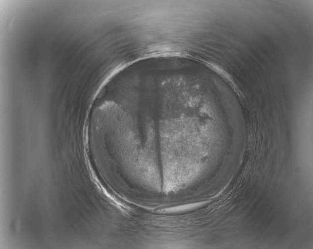 X0000057081383200510010148