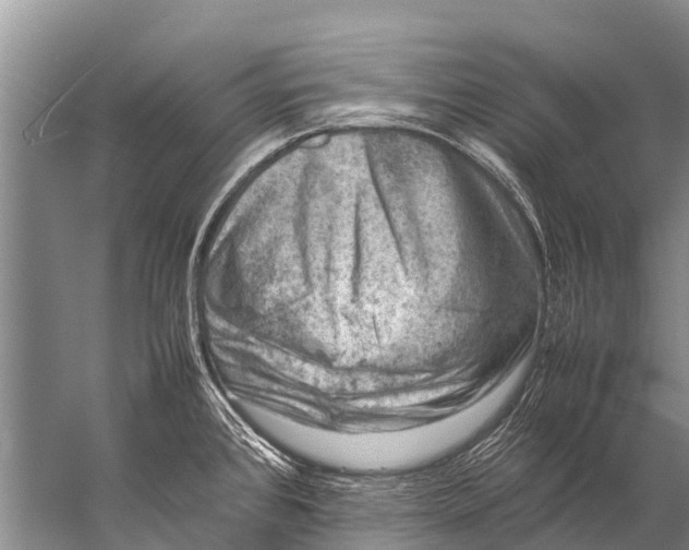 X0000057081384200510010148