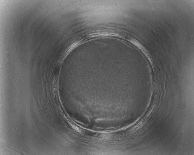 X0000057081385200510010148