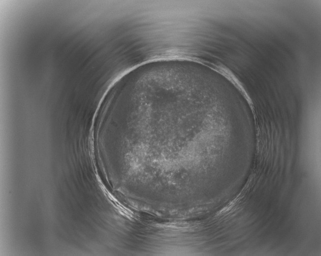 X0000057081388200510010148