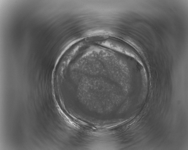 X0000057081392200510010148