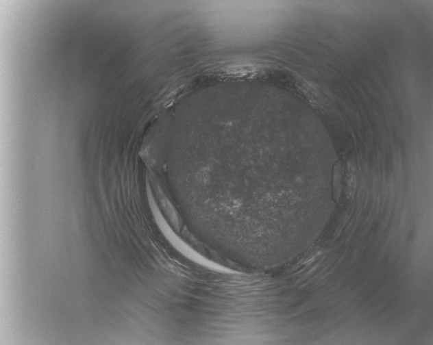 X0000057081394200510010147