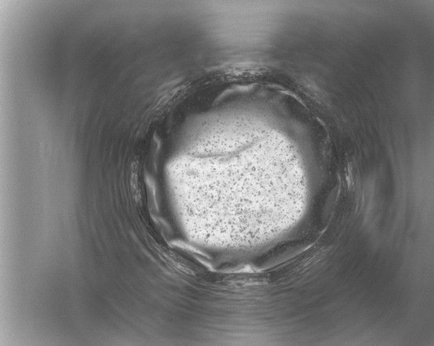 X0000057081396200510010147