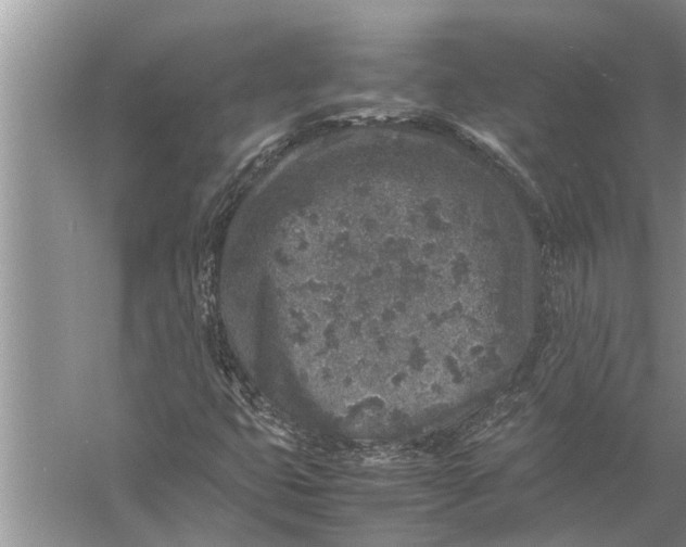 X0000057081399200510010147