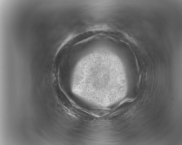 X0000057081400200510010147