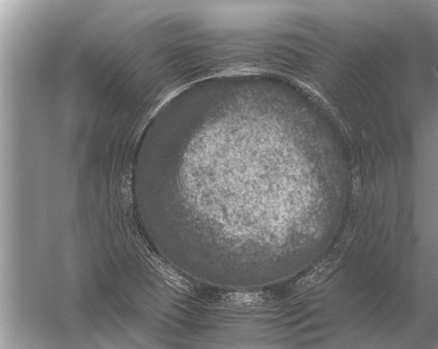 X0000057081409200510010147