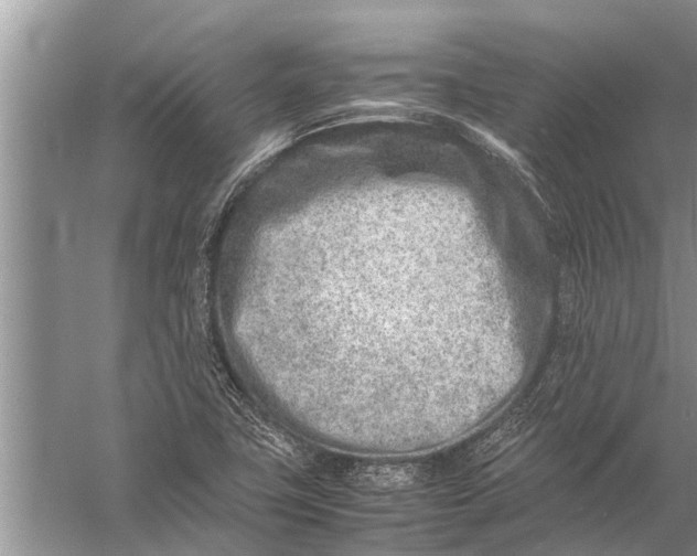 X0000057081411200510010147