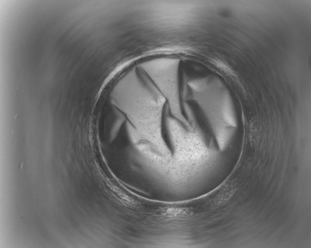 X0000057081412200510010147