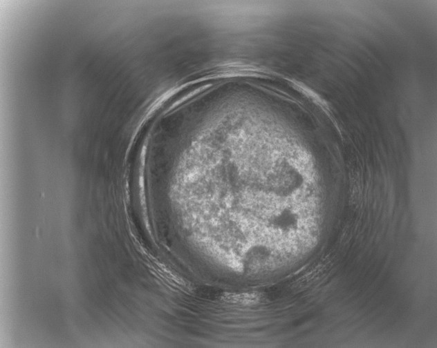 X0000057081415200510010148