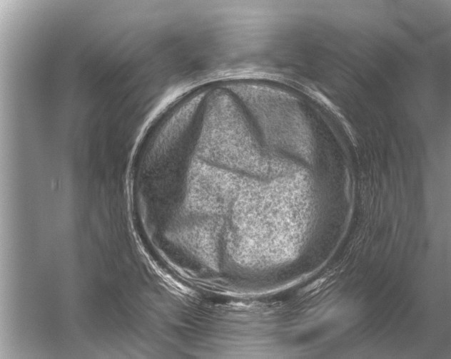 X0000057081416200510010148