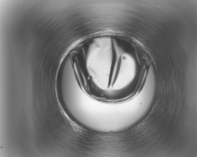 X0000057081418200510010148