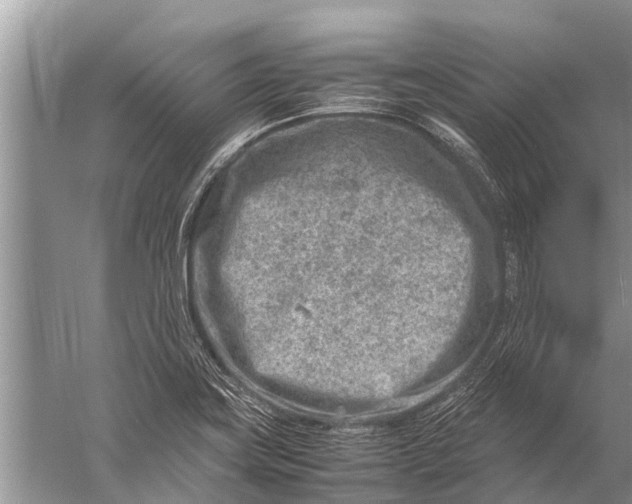 X0000057081419200510010148