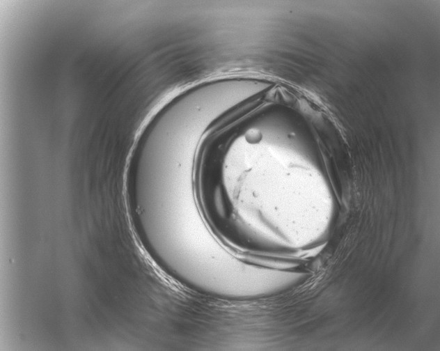 X0000057081422200510010148