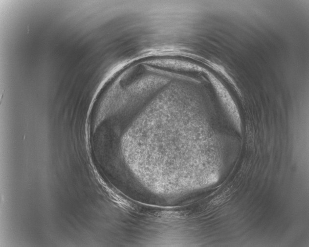 X0000057081424200510010148