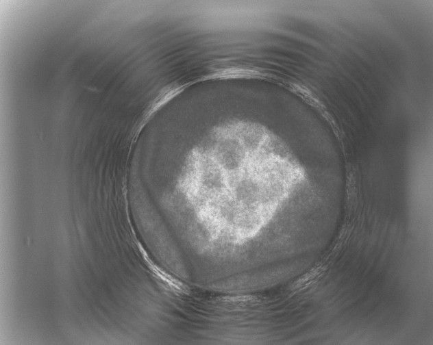 X0000057081425200510010148