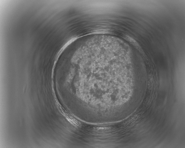 X0000057081427200510010148