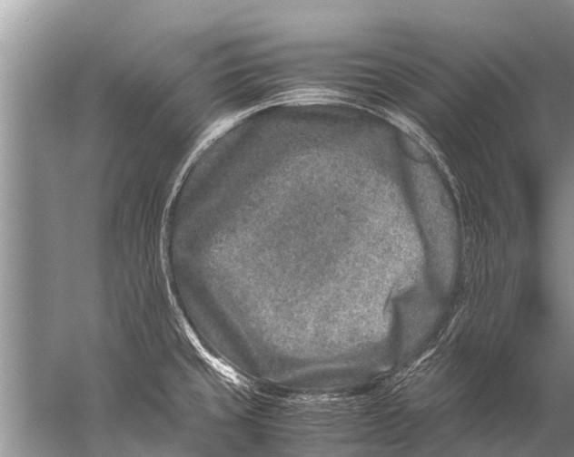 X0000057081429200510010148