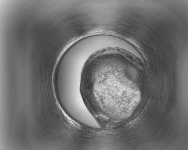 X0000057081430200510010148