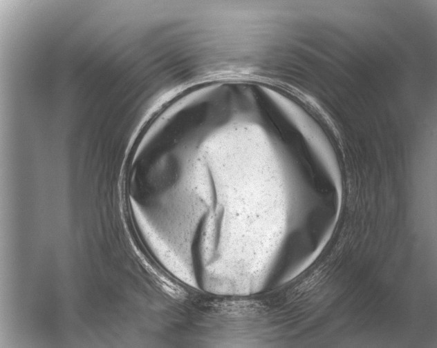 X0000057081432200510010148