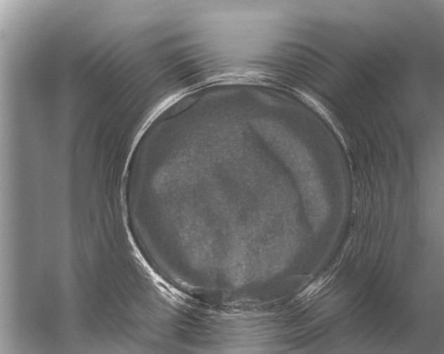 X0000057081434200510010148