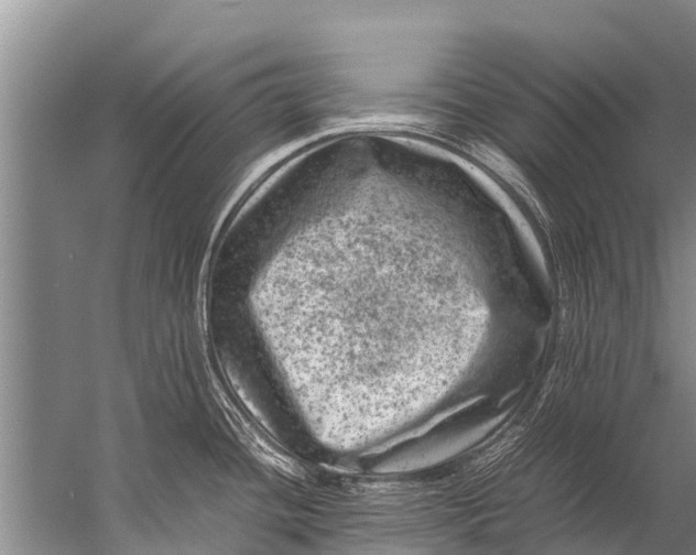 X0000057081436200510010148