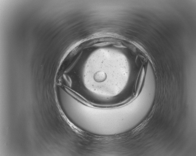 X0000057081438200510010148