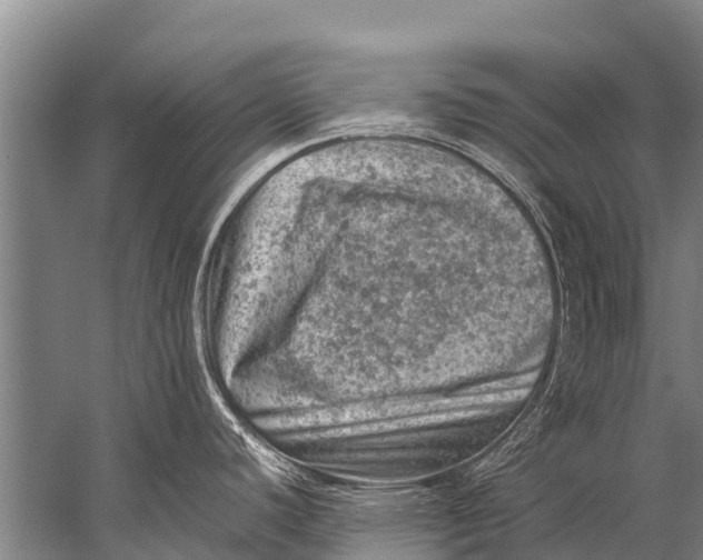 X0000057081440200510010148