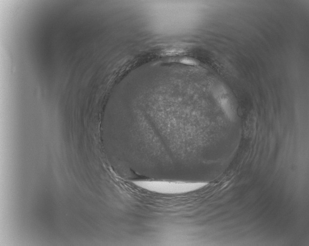 X0000057081441200510010147