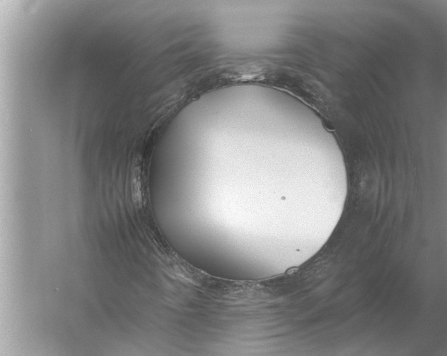 X0000057081442200510010147