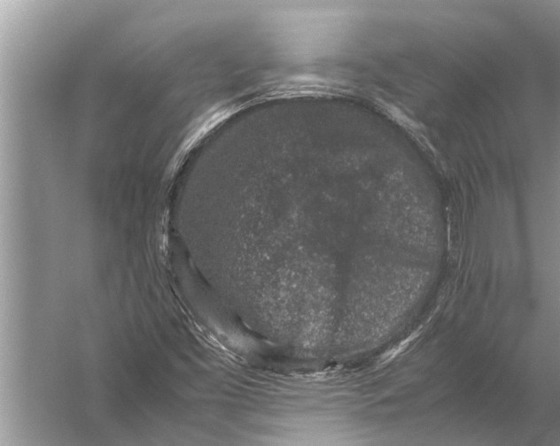 X0000057081453200510010147