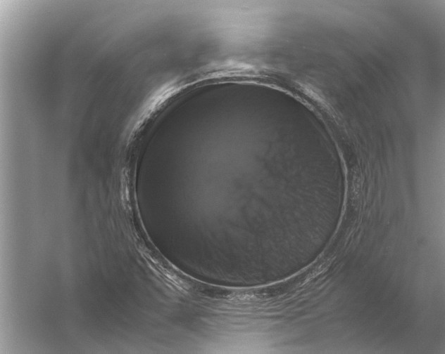 X0000057081455200510010147