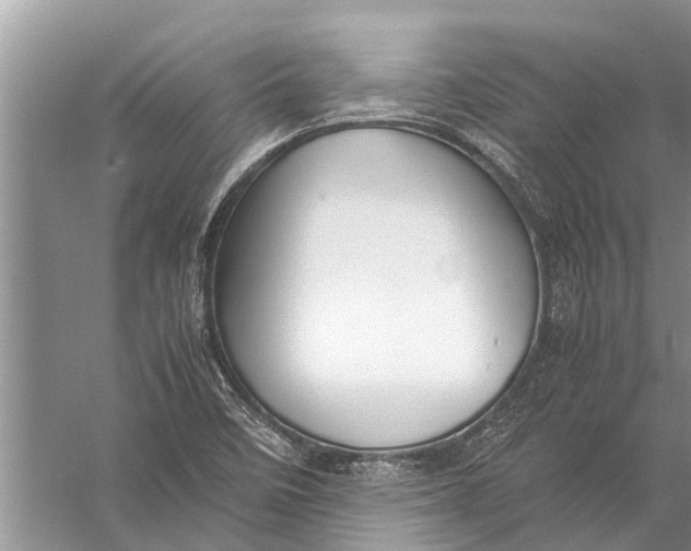 X0000057081458200510010147