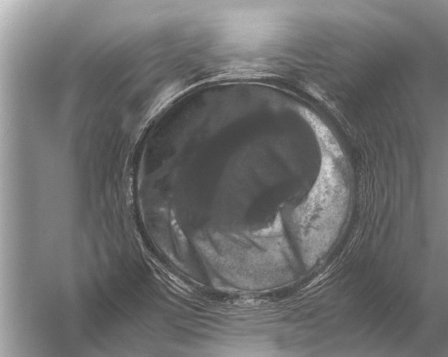 X0000057081459200510010147