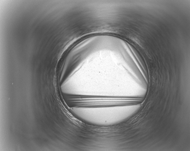 X0000057081460200510010147