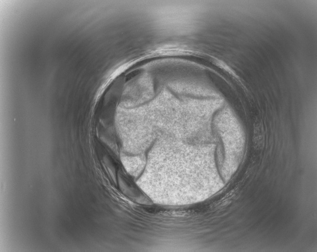 X0000057081461200510010147