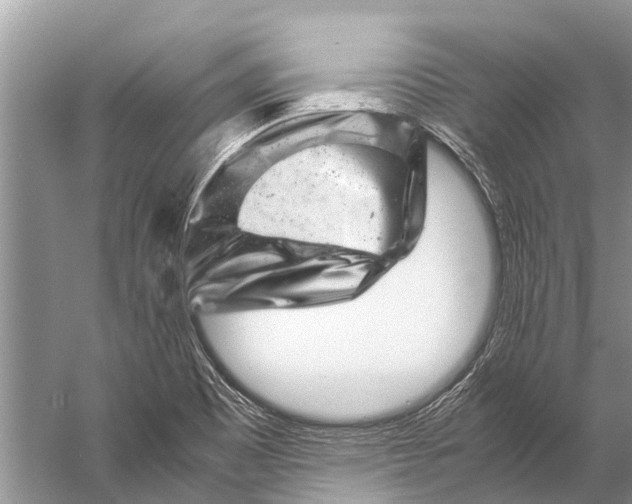 X0000057081465200510010147