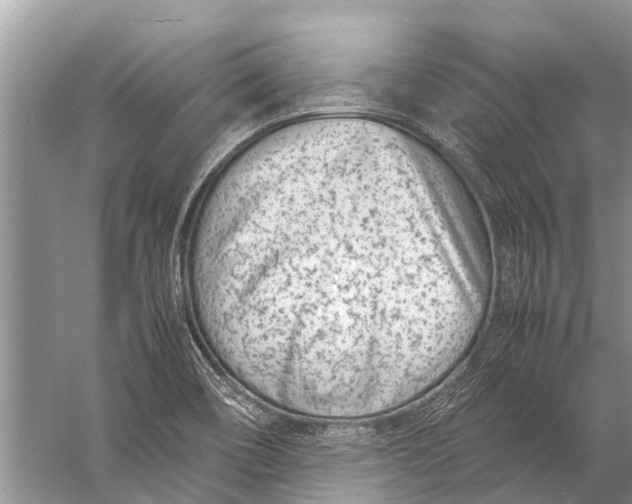 X0000057081466200510010147