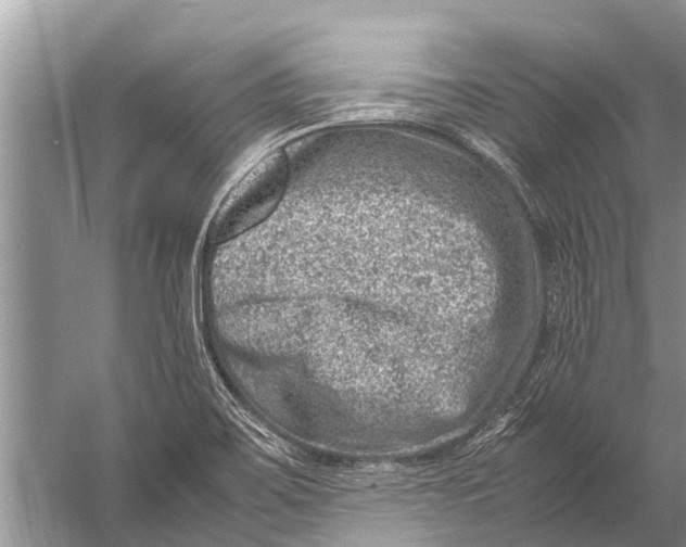 X0000057081467200510010147