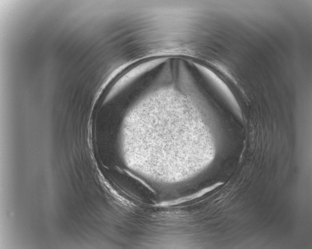 X0000057081468200510010147